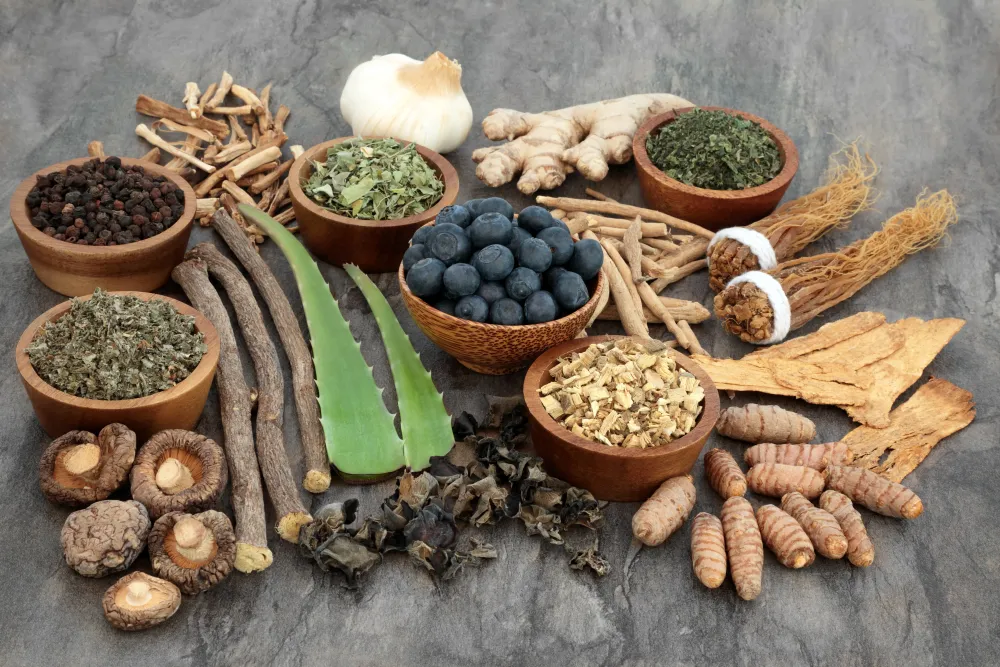 Evaluating the efficacy of Rajapravartani Vati and Saraswatarishta in dysmenorrhea management
